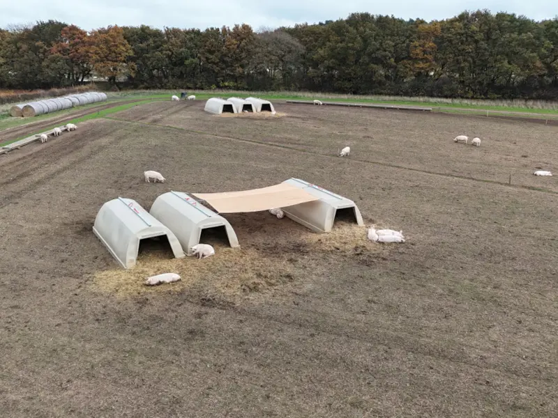 View from above of huts and sunshades in a field