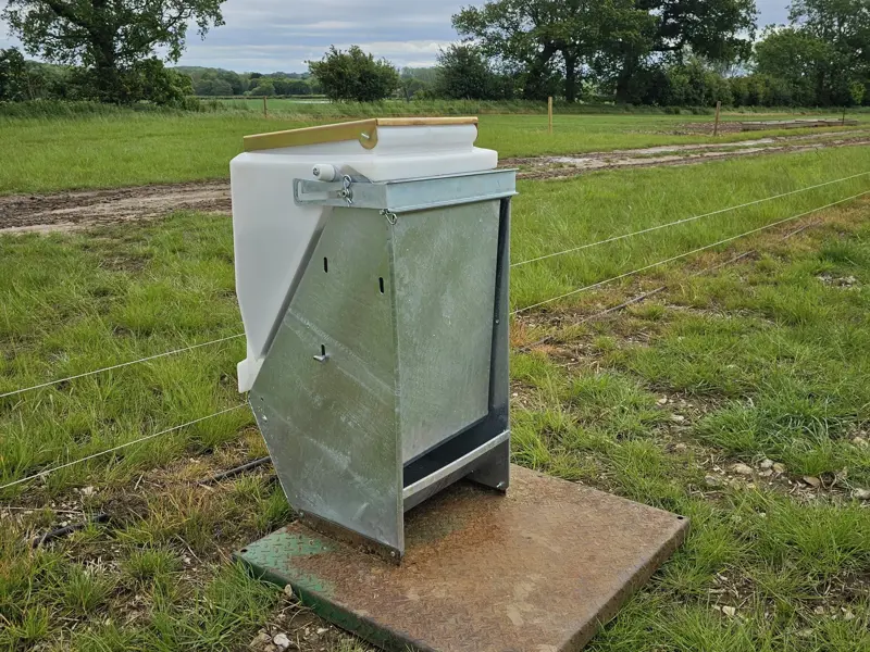 Piggyback feeder on a metal farrow feeder