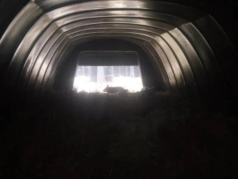 View of the hut from one end