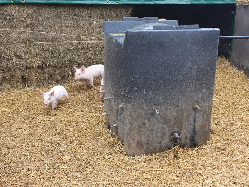 Water tanks with piglets