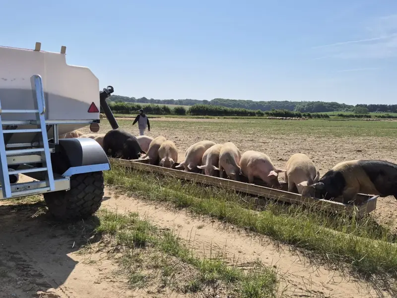 3T Easy-Feed trailer in action