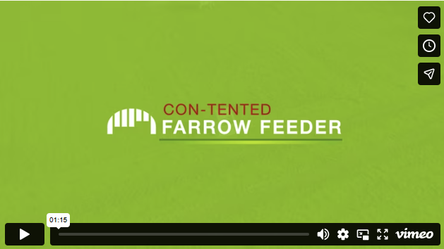 Thumbnail for Vimeo video