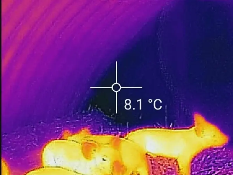 On the same frosty morning the insulated steel ark was only 8.1 degrees
