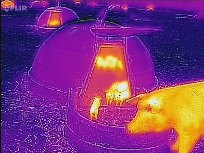 Infrared picture showing no heat loss from the refrigeration grade insulated ark