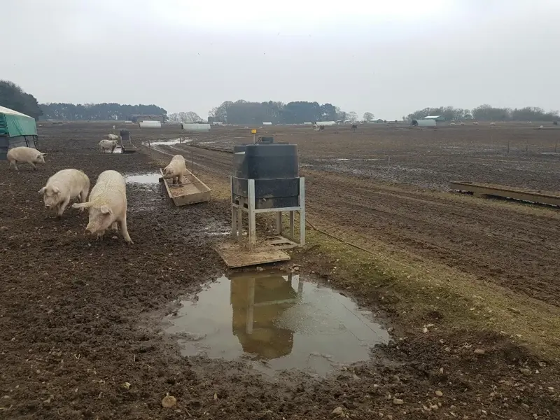 Cleanwater tank in situ